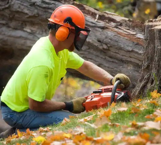 tree services Shaw